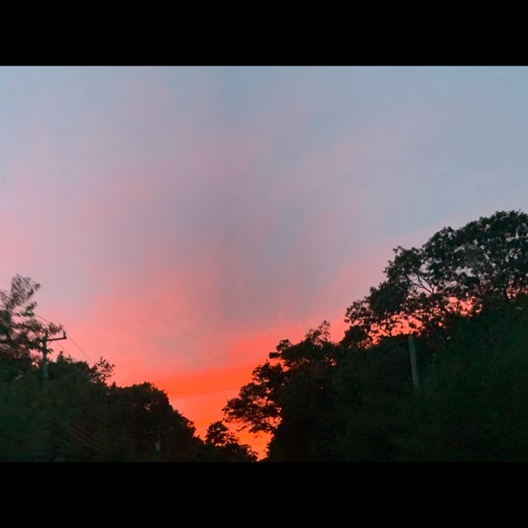 Meet your Posher, Maria - Picture 1 of 1